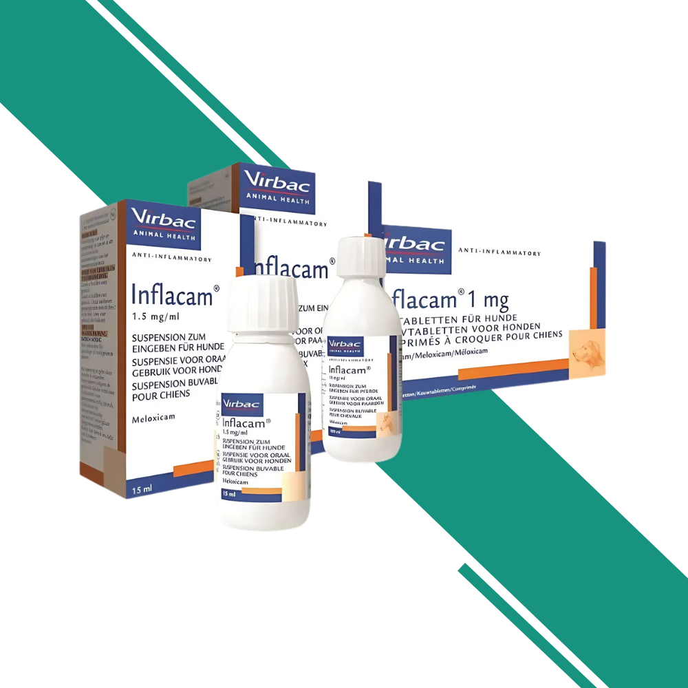 Inflacam 1.5mg/ml Oral Suspension for Dogs